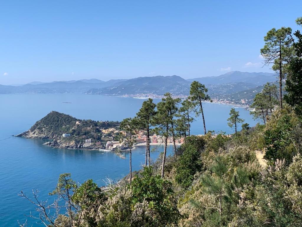Vila La Pergola Dei Paggi Sestri Levante Exteriér fotografie